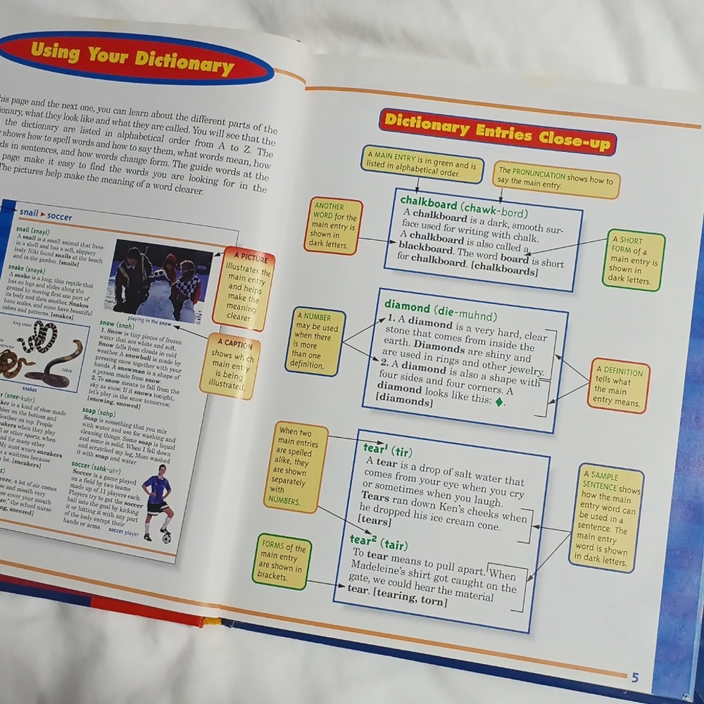 Scholastic First Dictionary - Picture 5 of 6